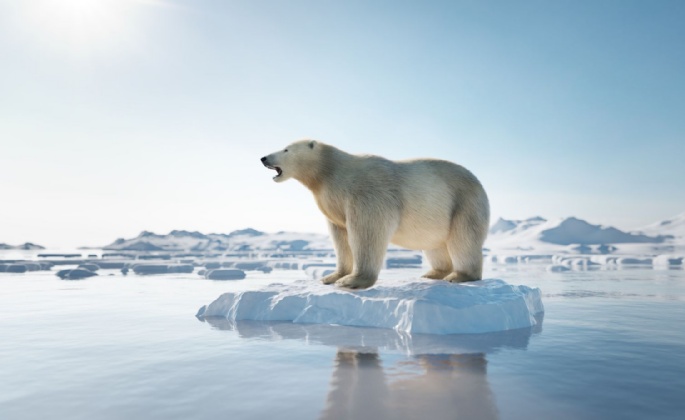 Latest News » Eco-activism at LHS